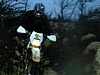 dscn0021.jpg