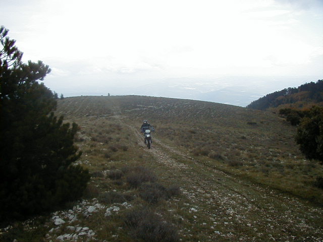 PA290029.JPG