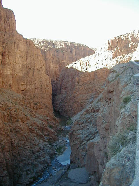 P1010033.JPG